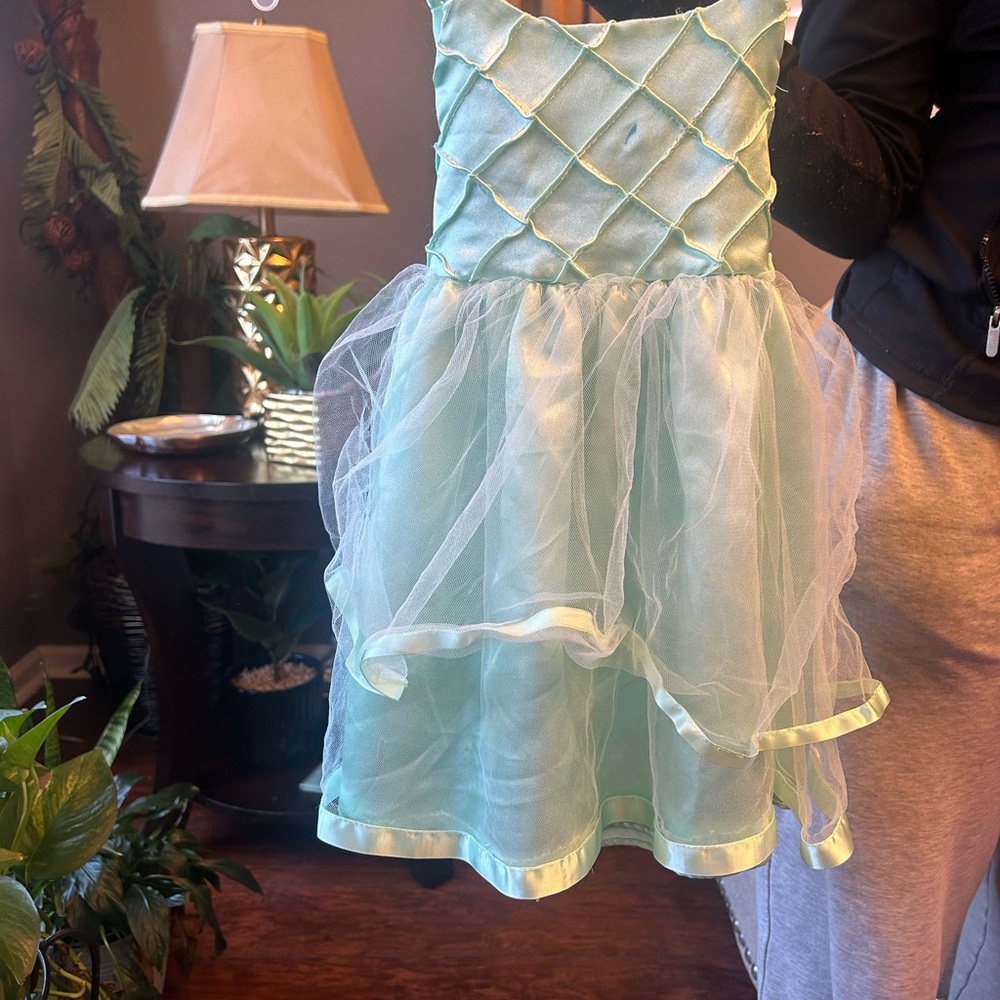 Mint Green Sleeveless Dress with Tulle Skirt